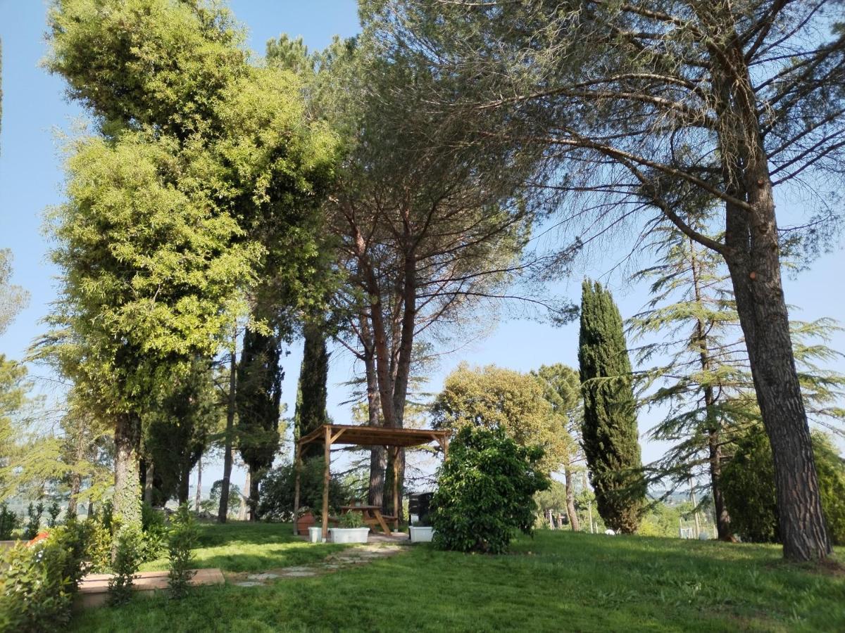 Agriturismo Poggio Rotondo San Gimignano Exterior foto